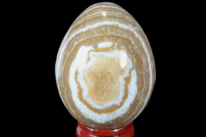 Polished, Banded Aragonite Egg - Morocco #98418
